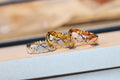 Signature Emblem Statement Ring in Polished Metal-Tone – White Detail main product view