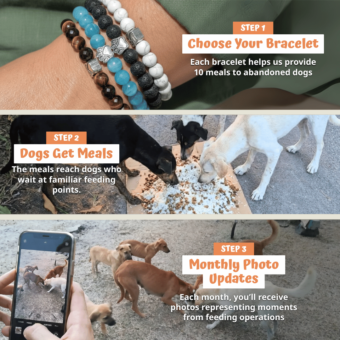 Amber Orange Striped Agate Bead Bracelet | Silver Paw Charm | Rescue Charity
