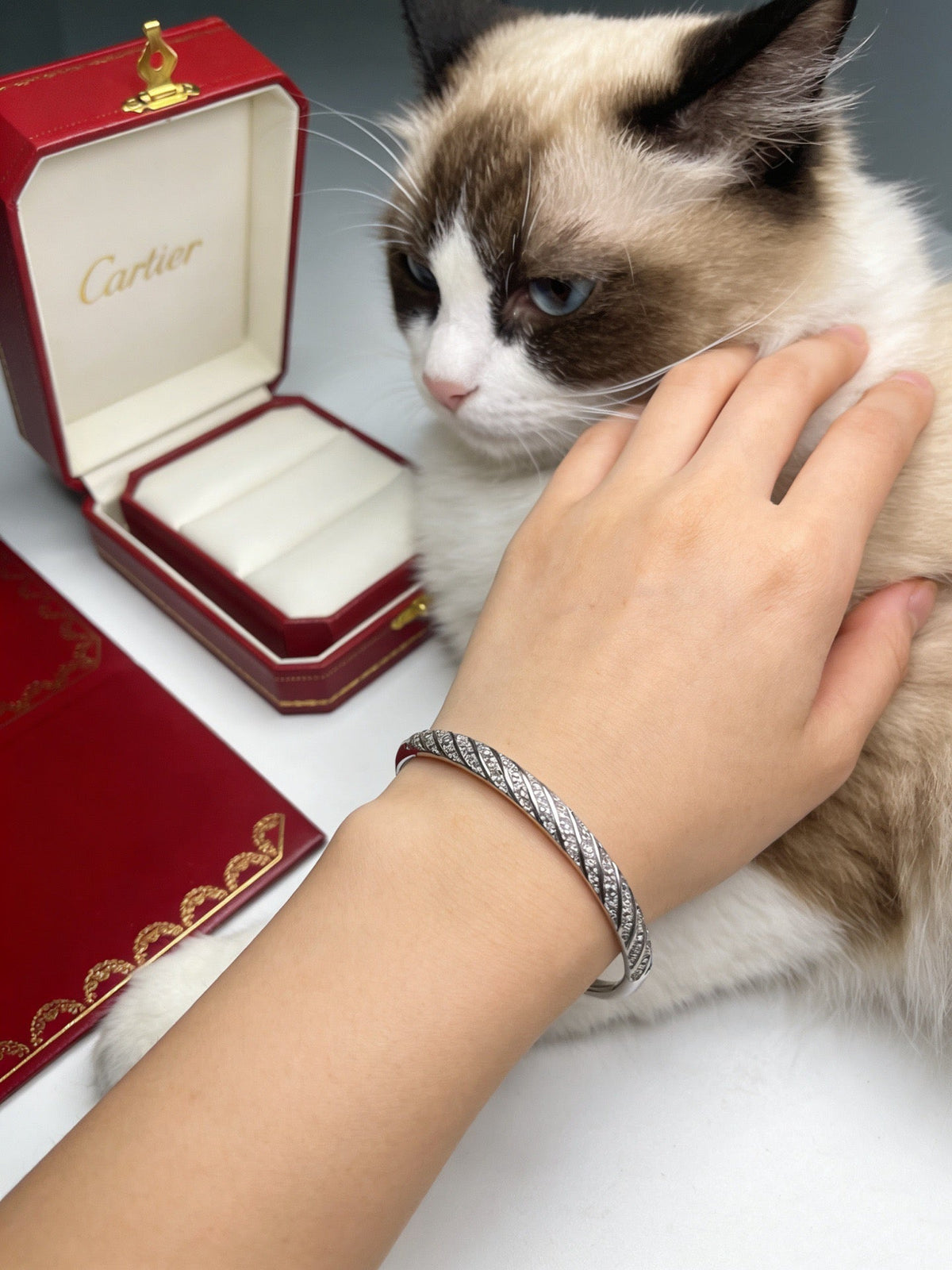 Martin Graham bracelet in polished metal-tone – front view