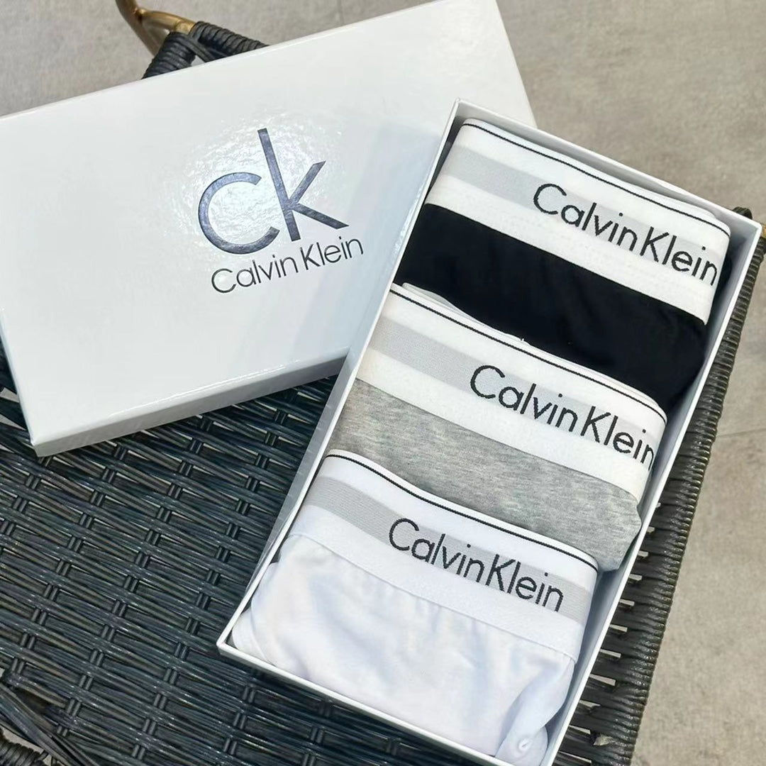 Calvin Klein Classic Logo Women's Briefs - Box of 3